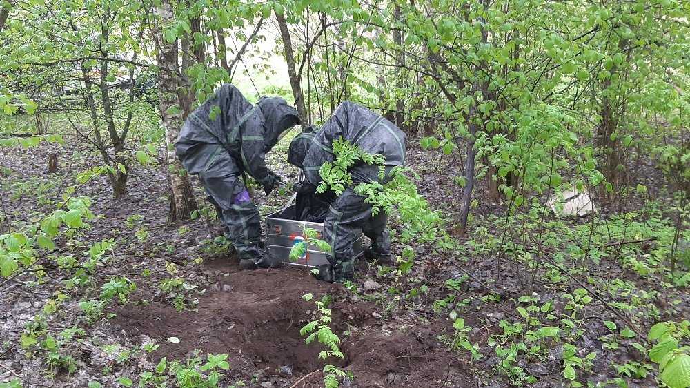 Под Выгоничами в лесу обнаружили 29 килограммов ртути