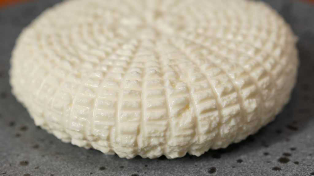 Брянским сыроделам запретили выпускать адыгейский сыр