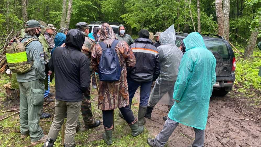 На выходных в Брянской области прошли поиски 24 пропавших человек