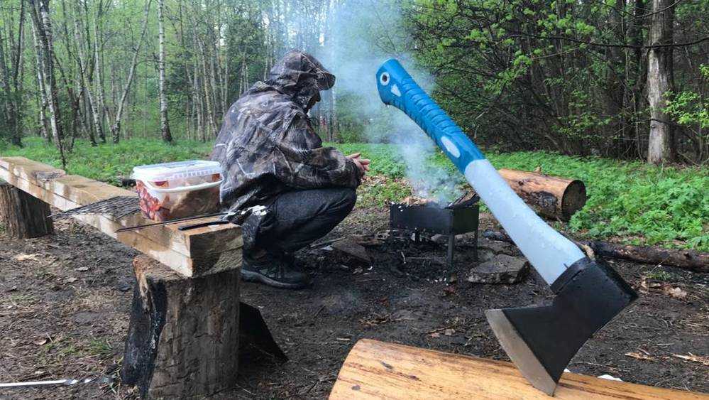 Жителям Брянской области сообщили о законных местах для приготовления шашлыков