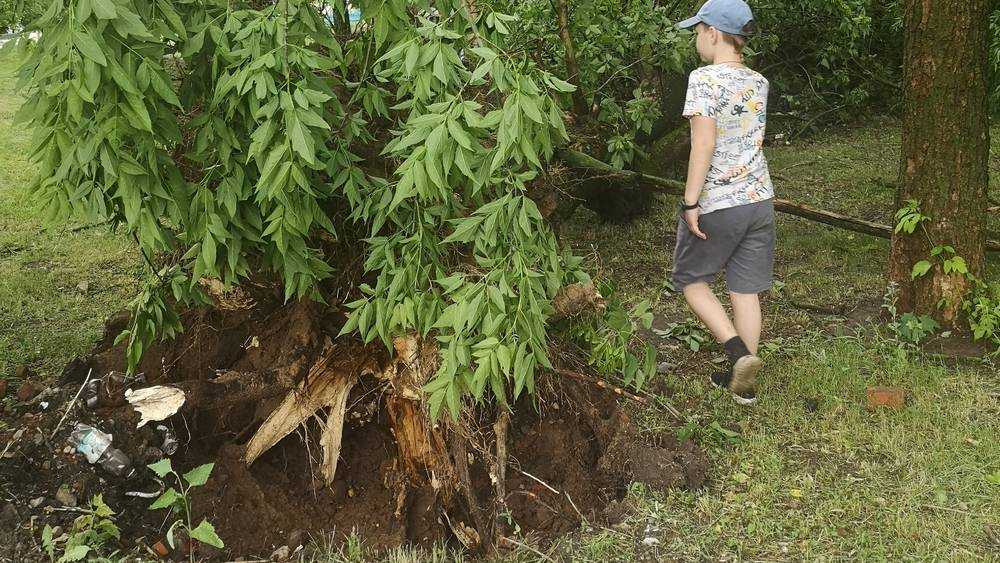 В МЧС предупредили о сильном ухудшении погоды 26 июня в Брянской области
