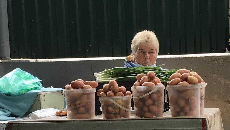В Брянске цена на молодой картофель упала до 50 рублей