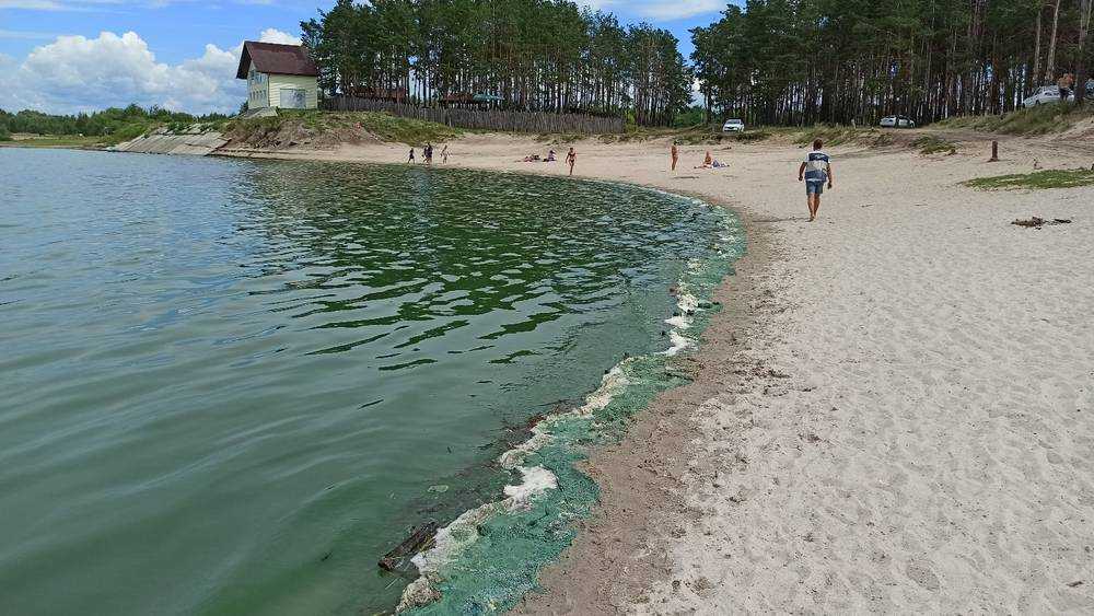 В Брянске вода озера Орлик стала ядовито-зелёной