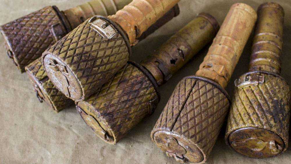 Под Брасовом в лесу обнаружили семь гранат времён войны