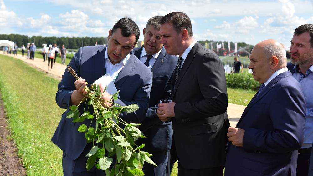 Патрушев: Брянская область вошла в число лидеров сельского хозяйства