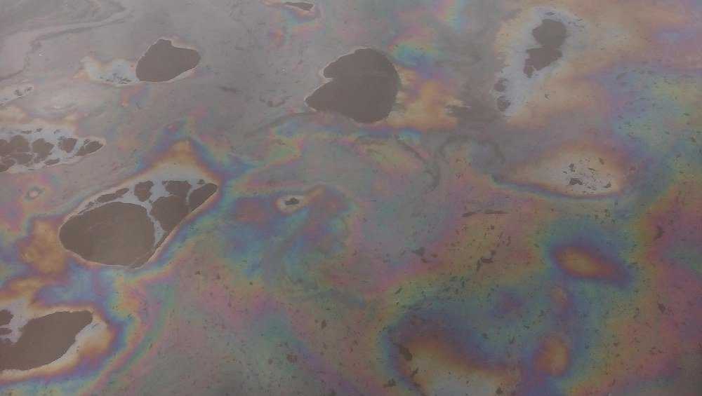 В Брянске пообещали найти источник загрязнения Десны нефтепродуктами