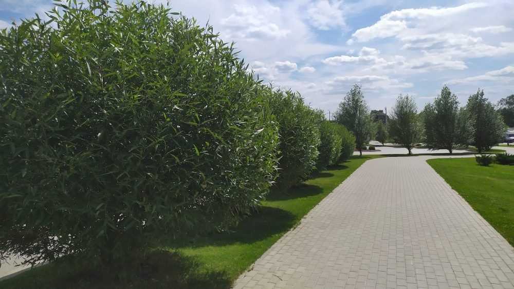 «Мегаполис-Парк» вошёл в ТОП-30 лучших жилых комплексов России
