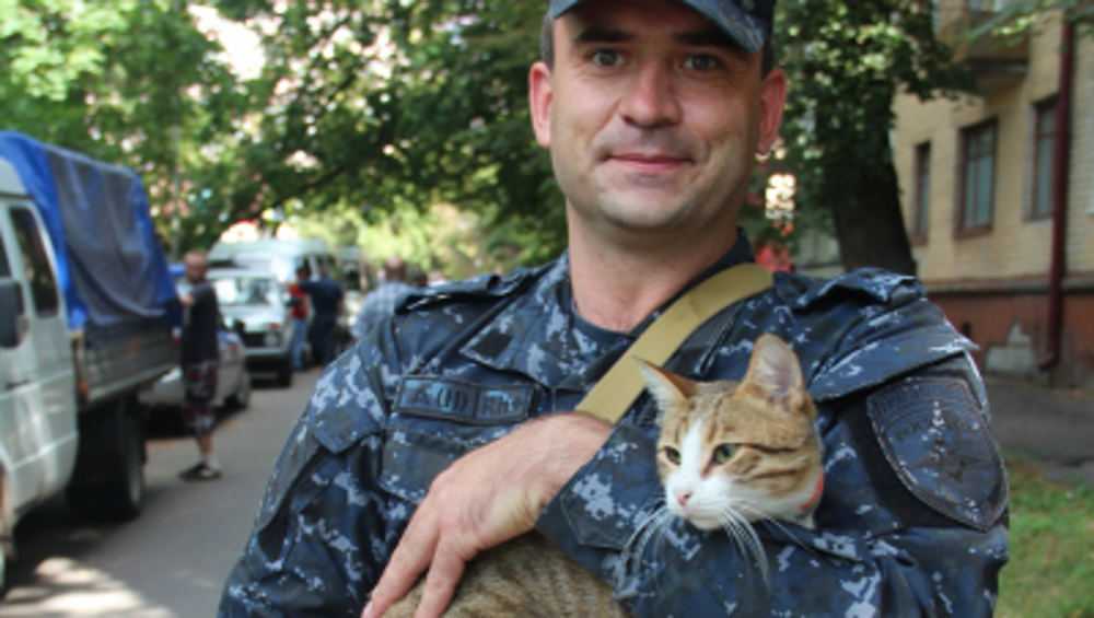 Брянский полицейский из командировки в Чечню вернулся с бездомным котом