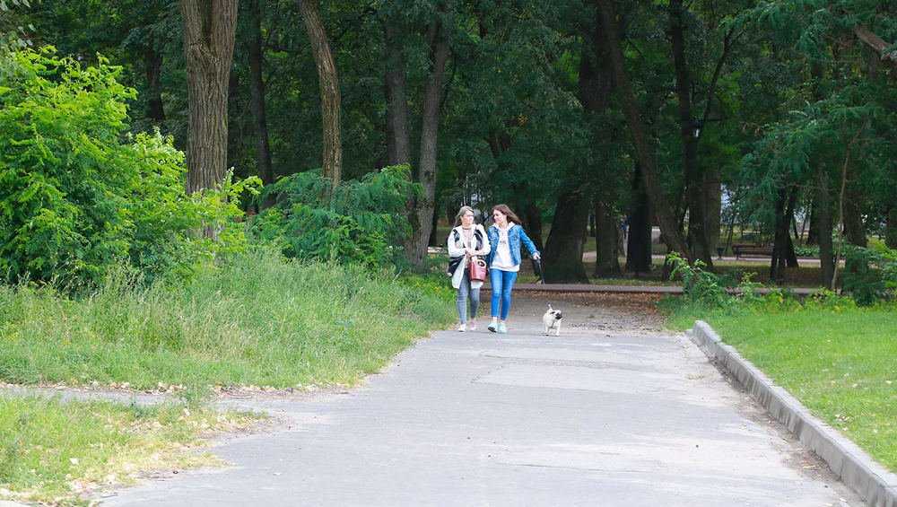 В Пушкинском парке в Бежице решили возродить детский городок