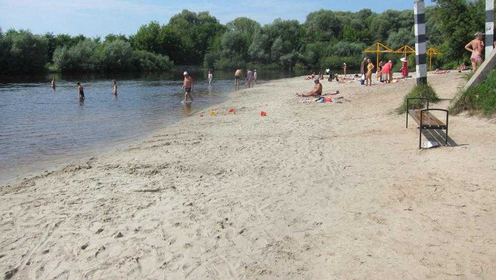 В Брянске назвали причину запрета купания в пяти водоёмах с 30 июня