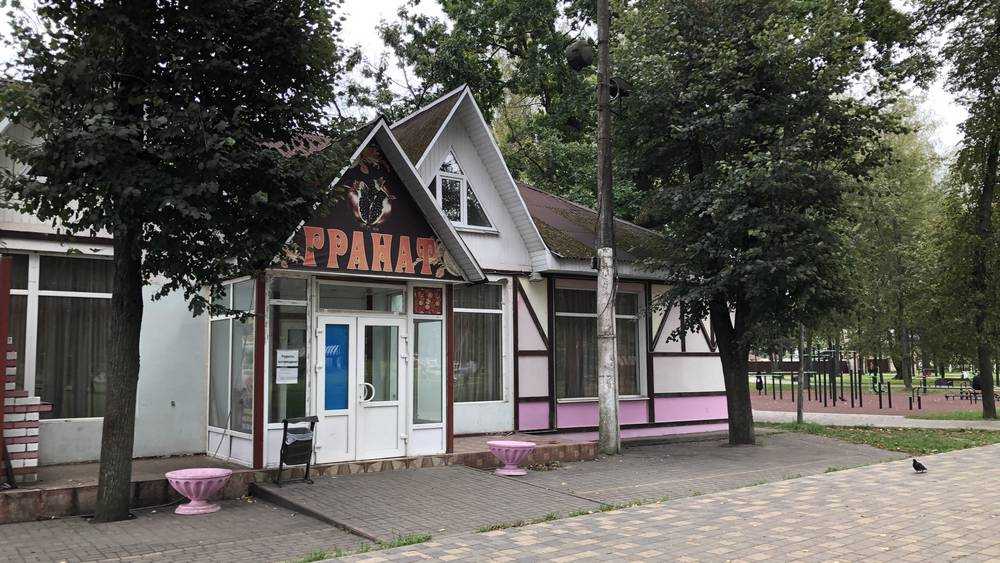 Неприкасаемость кафе в Майском парке Брянска вызвала удивление горожан