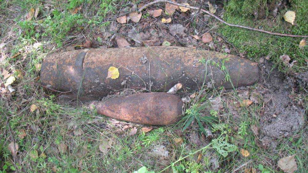 Под Унечей обнаружили три снаряда, а в лесу возле Почепа – гранату