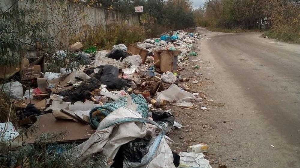 В Брянске вдоль дороги вырос гигантский мусорный вал