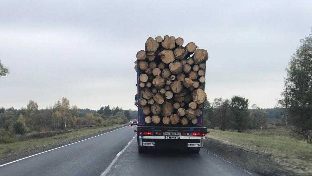 В Брянской области пресекли 23 незаконные перевозки древесины