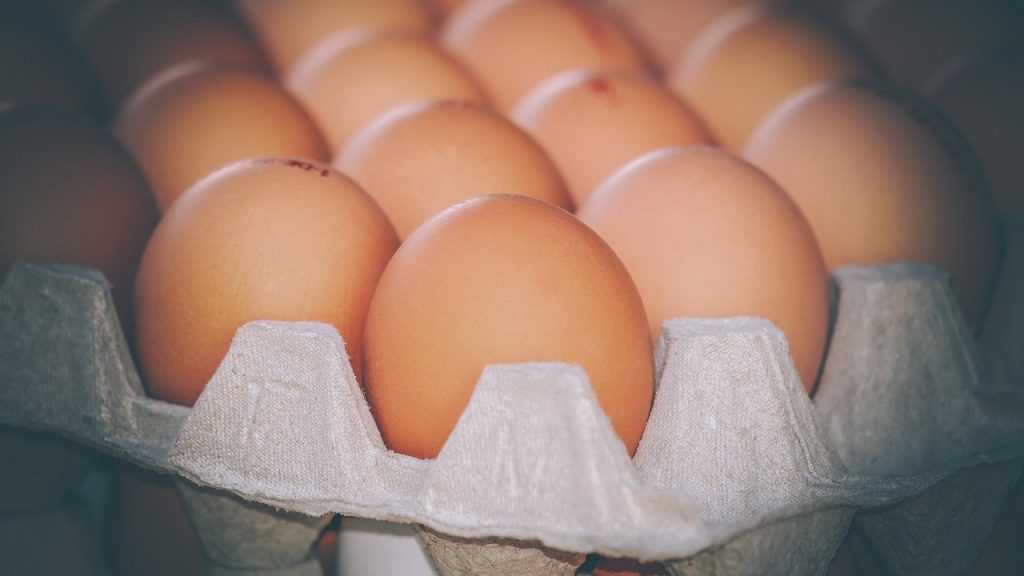 В Брянской области цена десятка яиц снизилась до 100 рублей