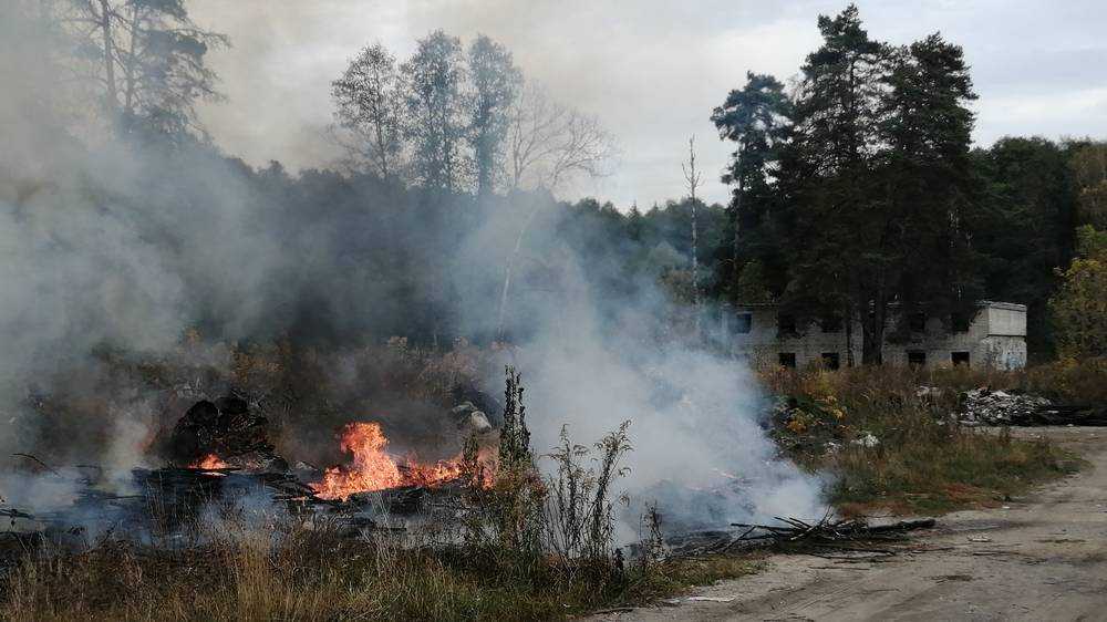 В Володарском районе Брянска возле леса подожгли крупную свалку