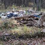 В Брянске появились мусорный вал и асфальтовые «муравейники»