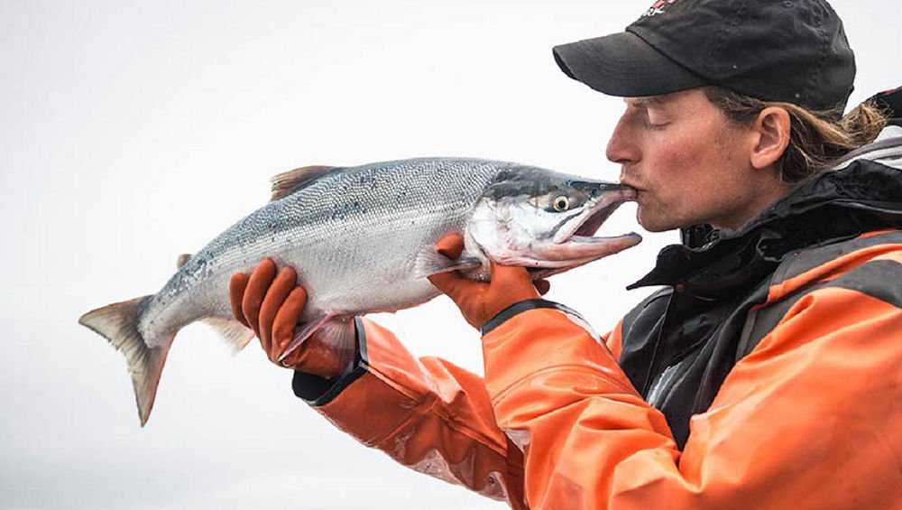 В Брянской области уничтожат две тонны атлантического лосося
