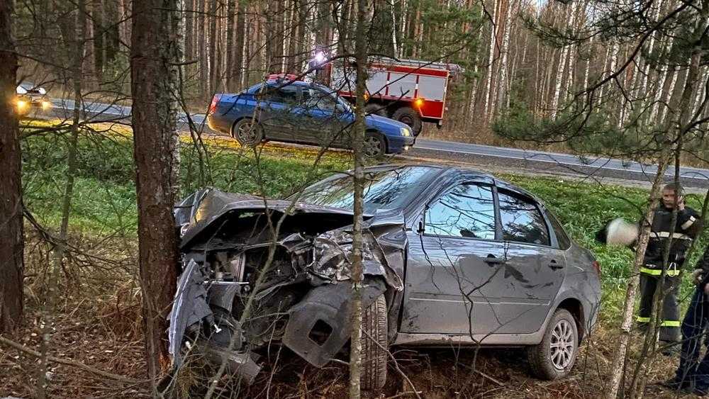 В лесу возле брянской трассы обнаружили автомобиль с пятнами крови