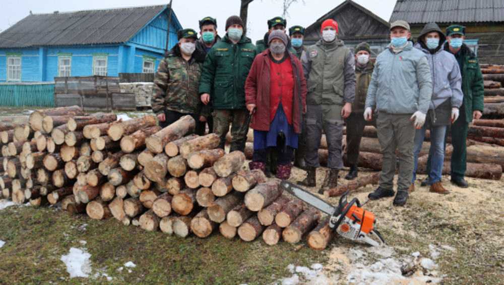 Брянские активисты заготовили дрова для сельской пенсионерки