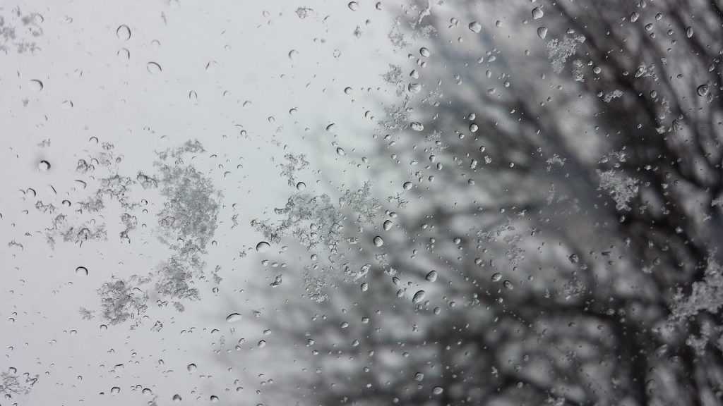 В воскресенье, 11 декабря, в Брянской области пройдут дожди со снегом при 7 градусах тепла