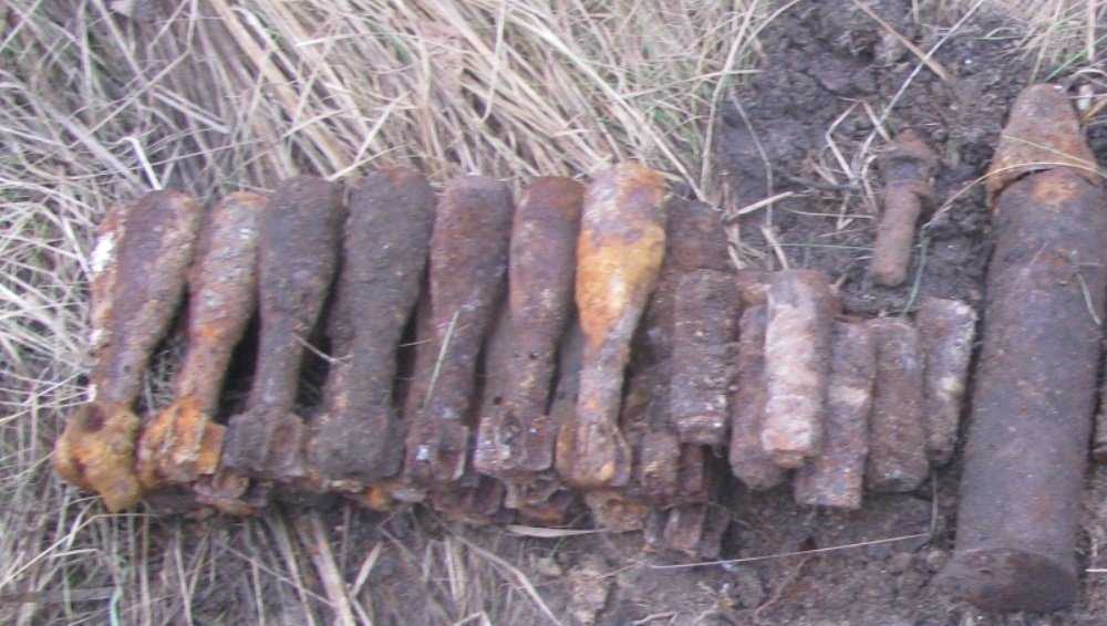 Под Унечей в лесу обнаружили две мины, 10 снарядов и гранату