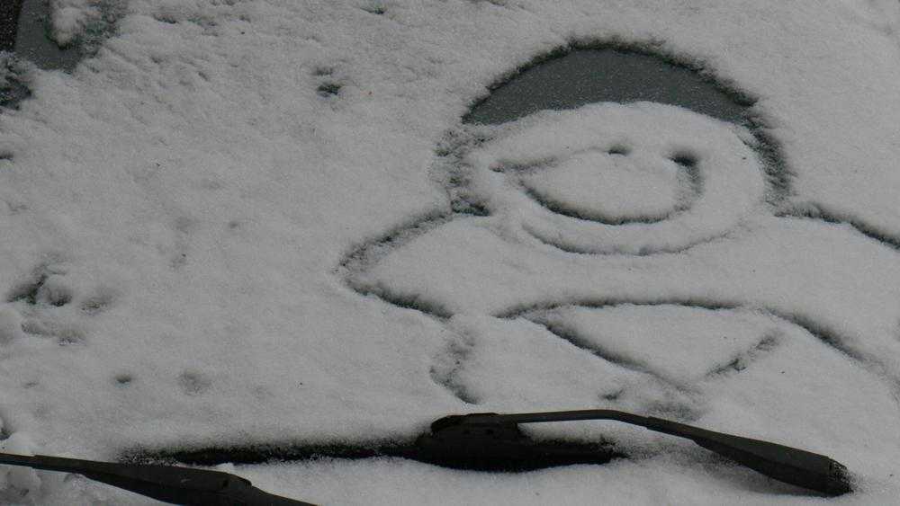 Первые снежинки вызвали буйную радость у впечатлительных брянцев