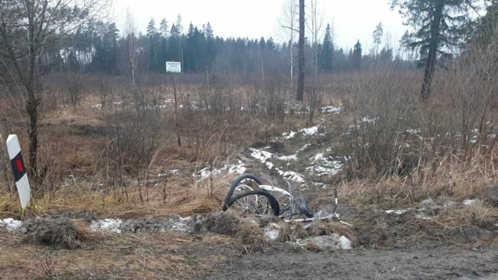 Под Дятьковом Брянской области в ДТП погибла 44-летняя велосипедистка