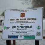 Партизанский дуб Брянской области получил памятный знак