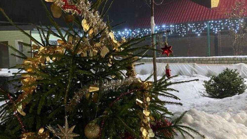 Брянский губернатор Богомаз рассказал о новогоднем обычае его семьи