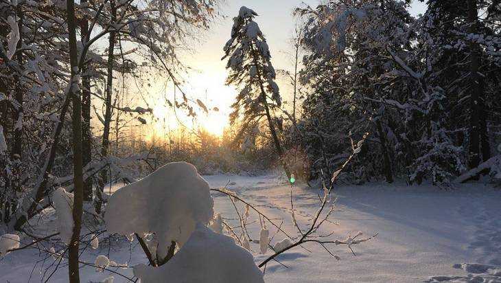 В Брянской области ночью 16 января похолодает до 7 градусов мороза