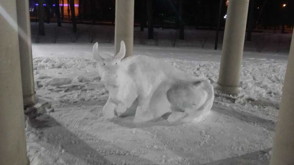 Жителей Белых Берегов восхитил поселившийся в парке снежный бык