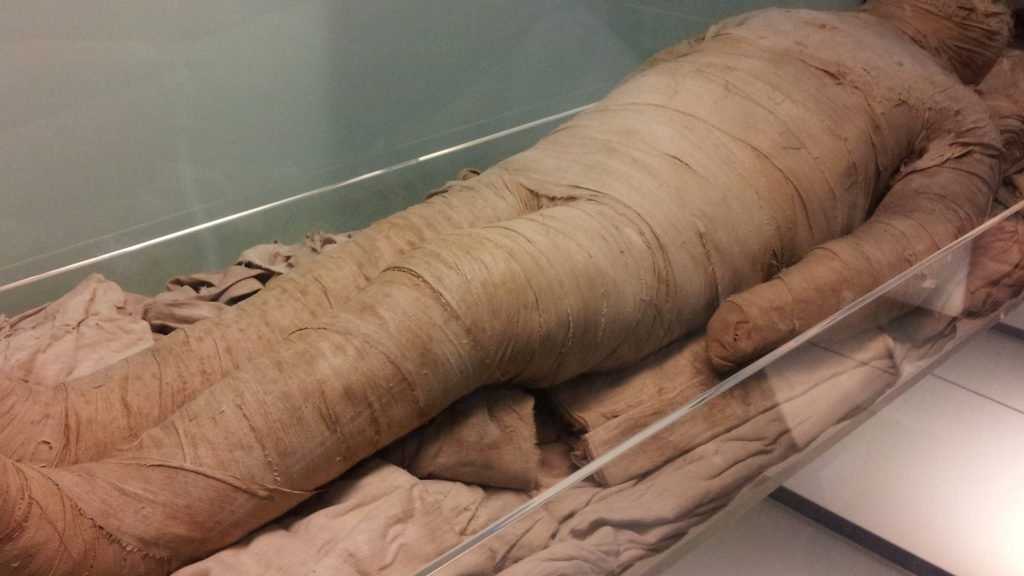 На свалке в Брянске обнаружено мумифицированное тело женщины