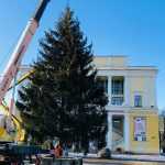 В Брянске выросло количество установленных новогодних елок