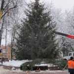 В Брянске главную новогоднюю елку встретили Дед Мороз и Снегурочка
