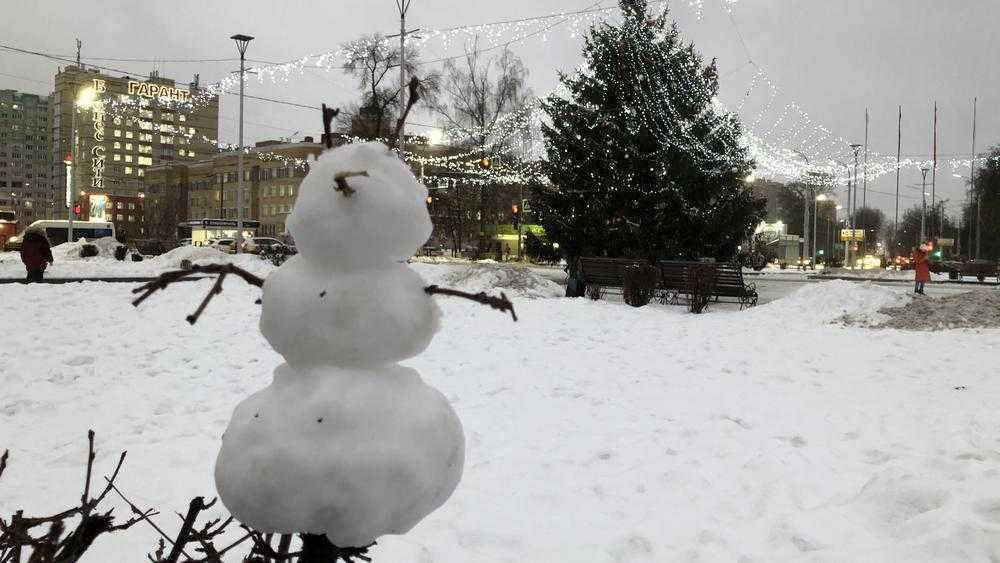 В Брянскую область 22 декабря придёт 11-градусный мороз