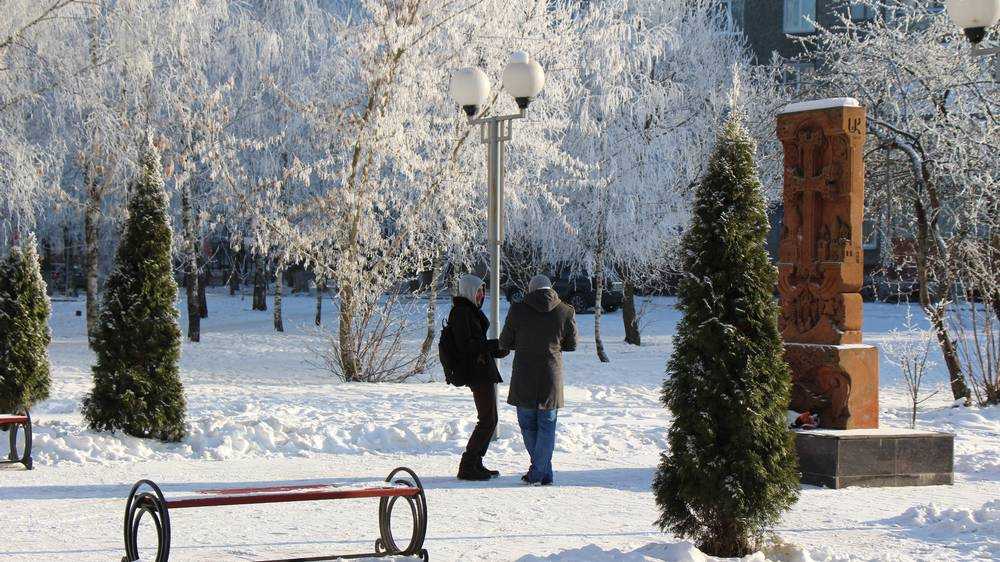 В Брянской области в ночь с 19 на 20 ноября похолодает до 12 градусов мороза