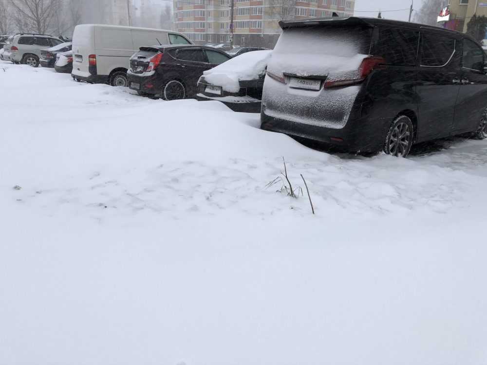 В первый день календарной зимы Брянскую область снова замело снегом