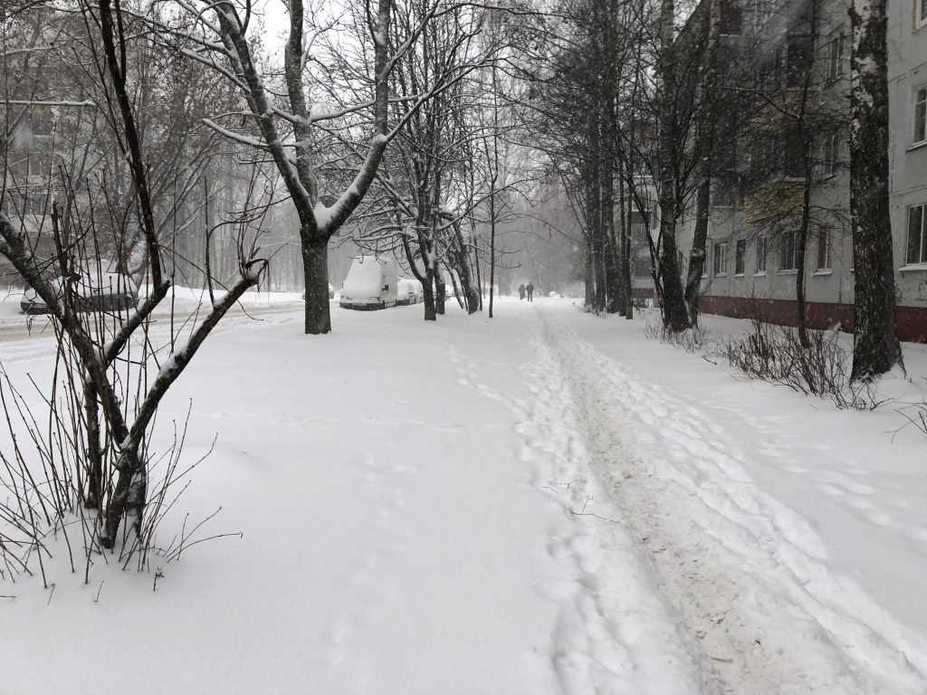 Брянский синоптик Евгений Тишковец предупредил о мощных снегопадах в декабре