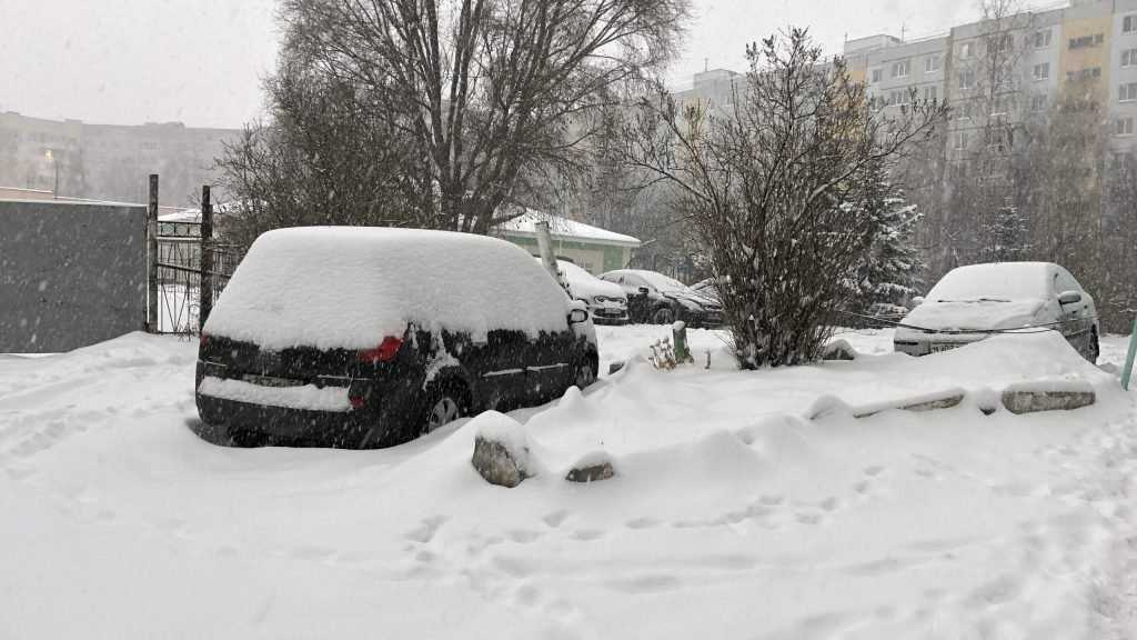 На Брянскую область днём 23 ноября обрушатся снегопады и метели при 7 градусах мороза