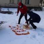 Брянских медиков поблагодарили с помощью мандаринов на снегу