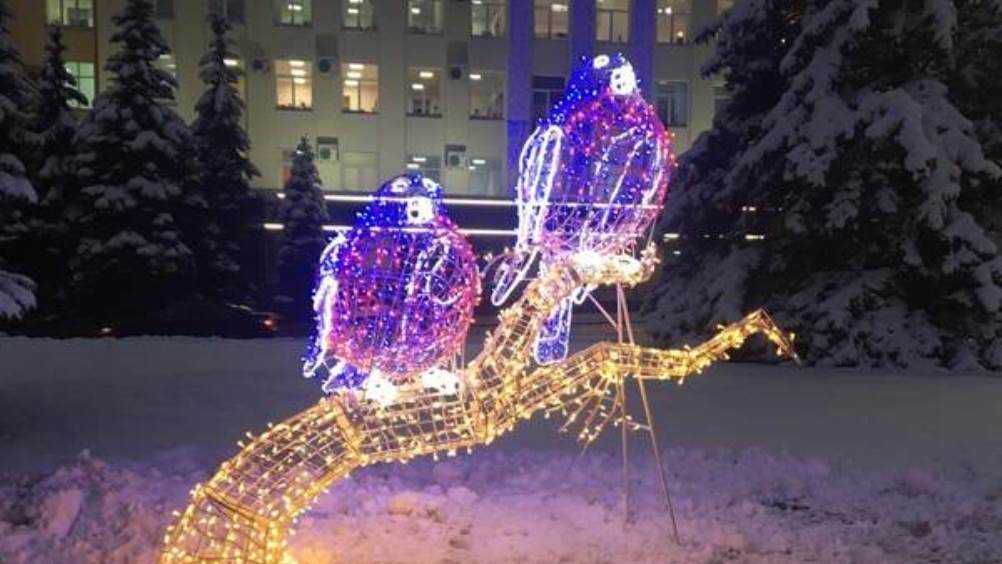 В Брянске площадь Ленина украсили новогодние снегири