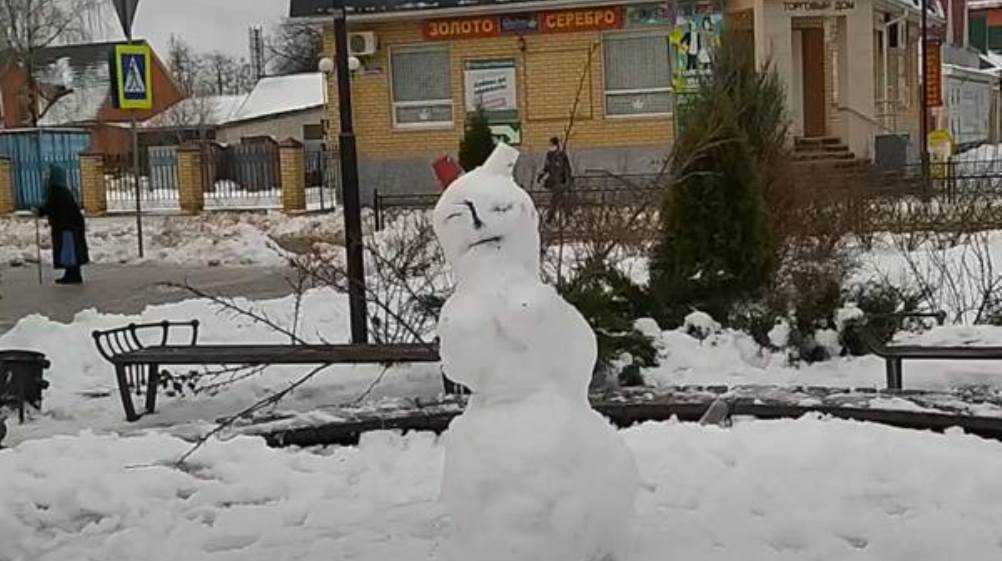 В Жуковке предложили сделать символом года «пьяного» снеговика