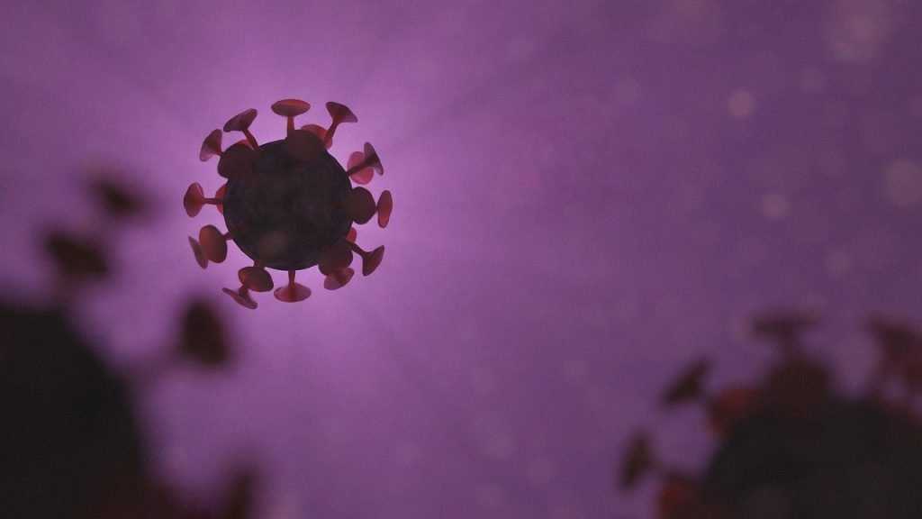 В Брянской области за сутки зафиксирована смерть 3 человек от коронавируса