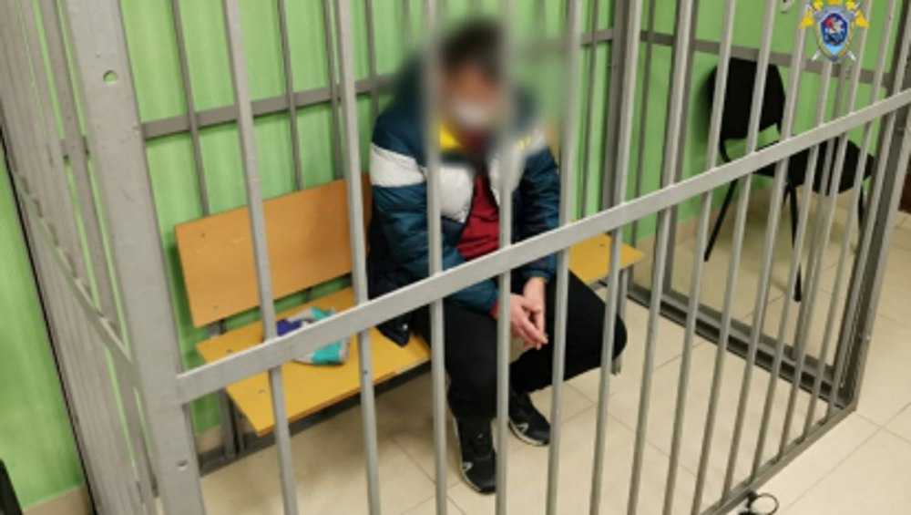 В Брянске за взятку автоинспектору заключили под стражу мигранта