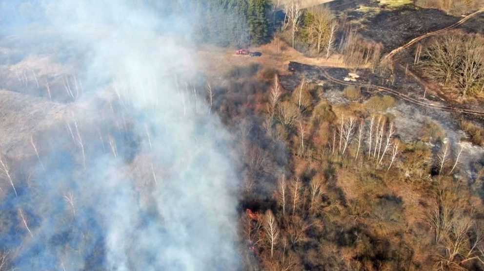 В брянских лесах до сентября ввели особый противопожарный режим