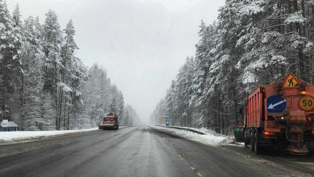 Брянские власти приказали для сохранности дорог сразу вывозить снег