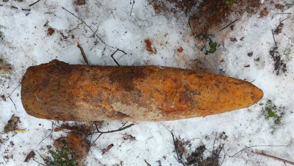 Под Брасовом Брянской области в лесу обнаружили 33 снаряда