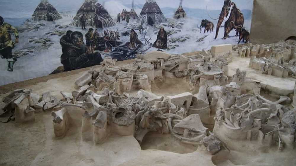В уникальном брянском музее «Палеолит» начнется реконструкция
