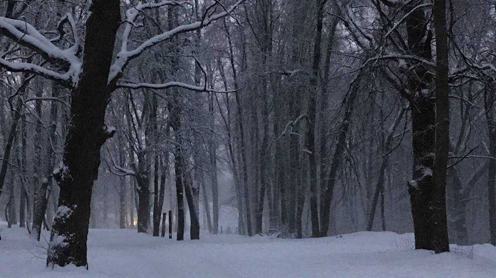 В Брянской области ночью 3 февраля похолодает до 10 градусов мороза